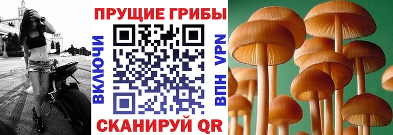 Галлюциногенные грибы мицелий  маркетплейс формула  Коряжма  купить  цена  ссылка на мегу вход 